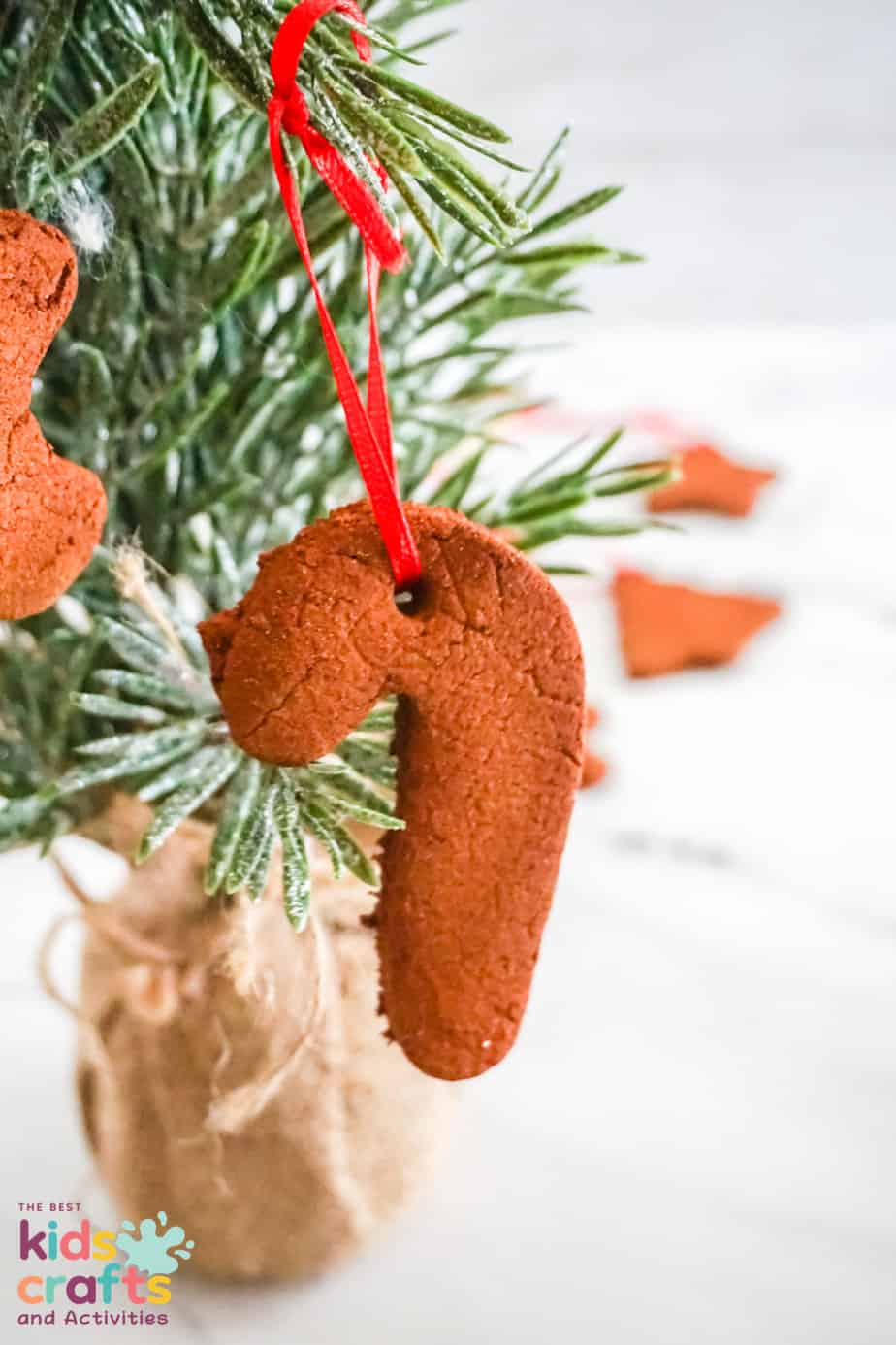 close up photo of Cinnamon Ornament hanging on a tree