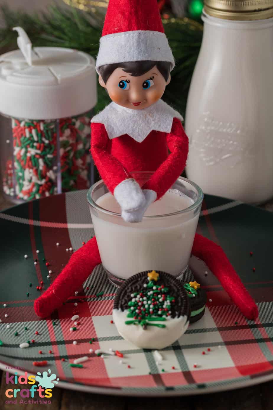 cookie and milk with the elf